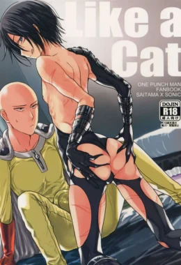 Saitama fode com Sonic em uma batalha épica – Hentai HQ Brasileiro